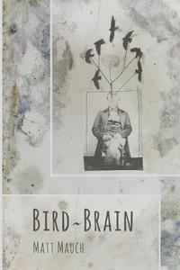 bokomslag Bird Brain