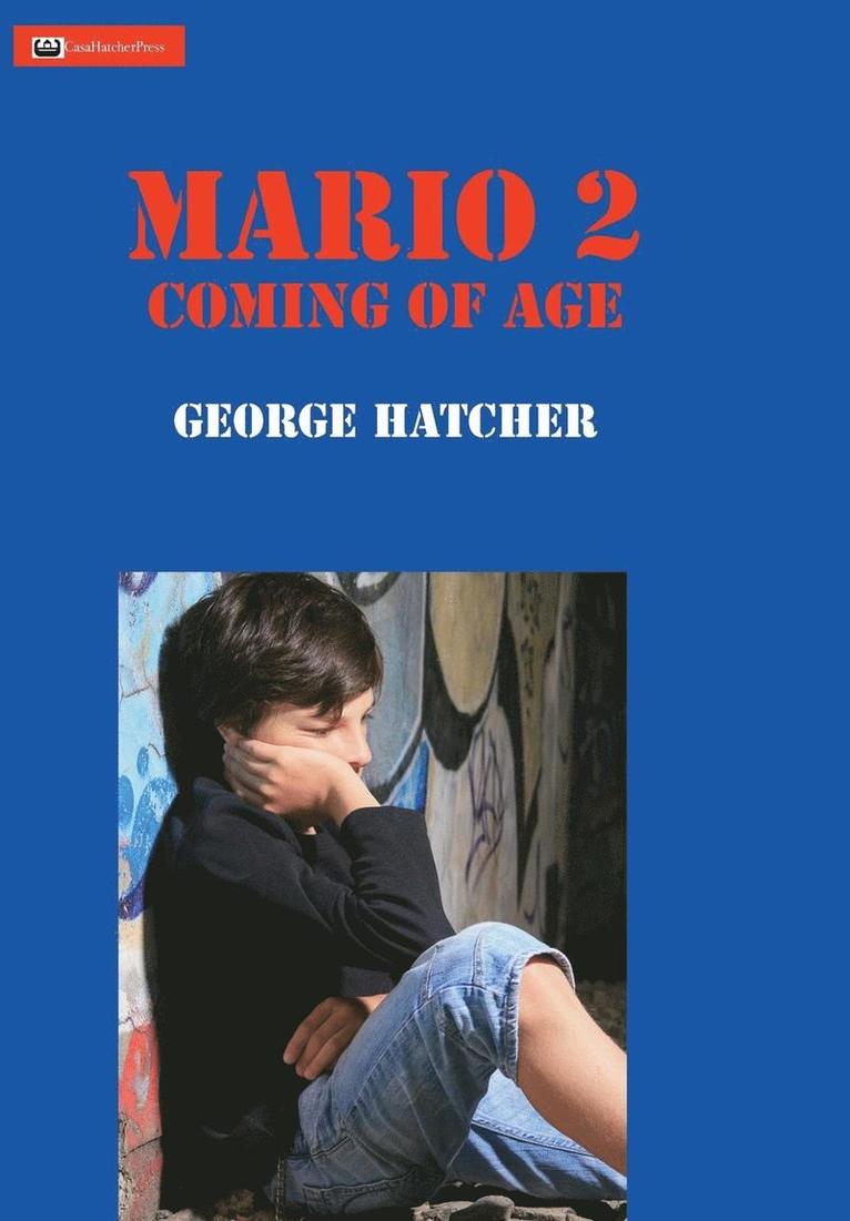 Mario 2 1