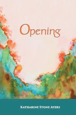 bokomslag Opening
