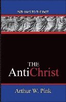 bokomslag The AntiChrist: Pathways To The Past