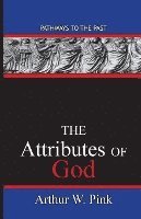 bokomslag The Attributes Of God: Pathways To The Past