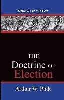 bokomslag The Doctrine Of Election: Pathways To The Past