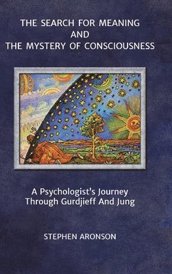 Stephen Aronson - Search For Meaning and The Mystery of Consciousness, Inbunden