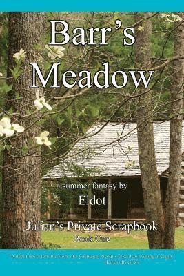 bokomslag Barr's Meadow: Julian's Private Scrapbook Book 1
