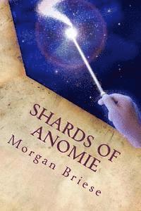 bokomslag Shards of Anomie