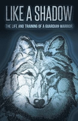 Like a Shadow: The Life and Training of a Guardian Warrior 1