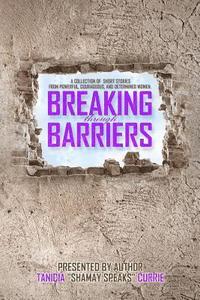 bokomslag Breaking Through Barriers