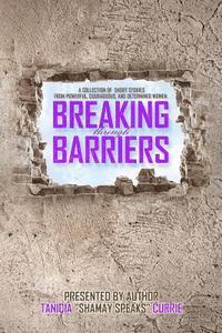 bokomslag Breaking Through Barriers