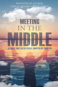 bokomslag Meeting in the Middle: Stories That Bless Souls, Chapter By Chapter