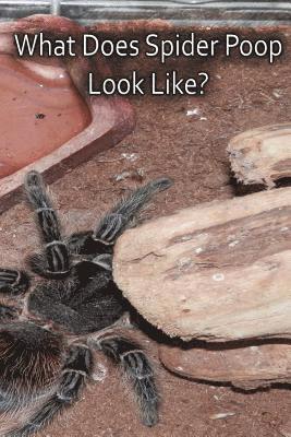 N a Cauldron, N. a. Cauldron, N.A., Cauldron, N. A. Cauldron - What Does Spider Poop Look Like?, Häftad