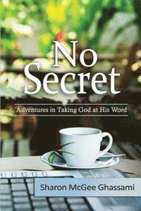 bokomslag No Secret: Adventures in Taking God at His Word