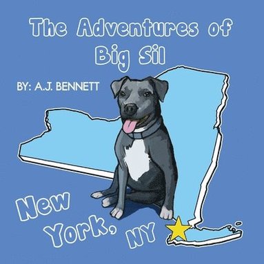 bokomslag The Adventures of Big Sil New York, NY: Children's Book