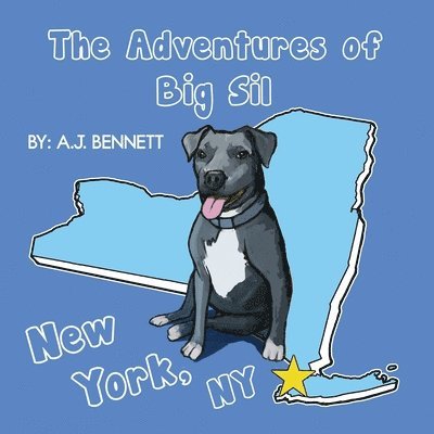 The Adventures of Big Sil New York, NY: Children's Book