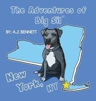 bokomslag The Adventures of Big Sil New York, NY: Children's Book