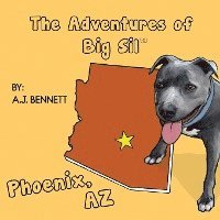 bokomslag The Adventures of Big Sil Phoenix, AZ: Children's Book