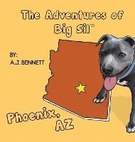 bokomslag The Adventures of Big Sil Phoenix: Children's Book