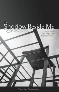 bokomslag The Shadow Beside Me