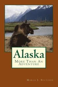 bokomslag Alaska: More Than An Adventure