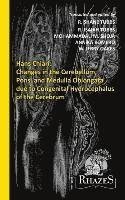 bokomslag Changes in the Cerebellum, Pons, and Medulla Oblongata due to Congenital Hydrocephalus of the Cerebrum