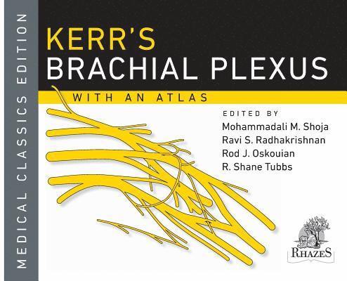 Kerr's Brachial Plexus 1