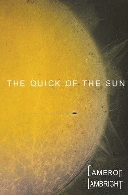 Cameron Lambright - Quick of the Sun, Häftad