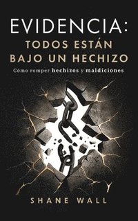 bokomslag Evidencia- Todos están bajo un hechizo