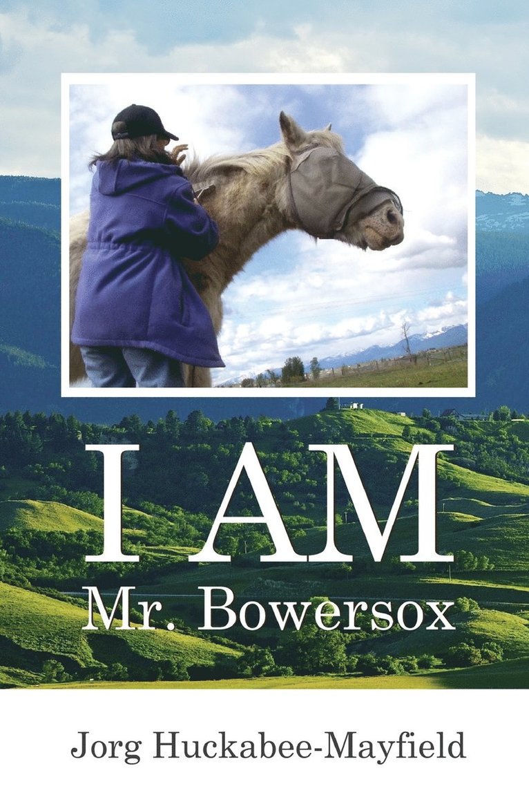 I AM Mr. Bowersox 1