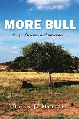 Adam Robinson, Brian J. Mueller - More Bull: Songs of serenity and surrender..., Häftad