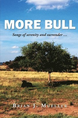 More Bull: Songs of serenity and surrender... 1