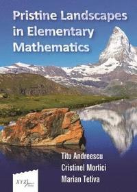 bokomslag Pristine Landscapes in Elementary Mathematics