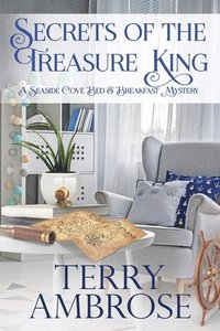 bokomslag Secrets of the Treasure King