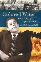 bokomslag Colored Water: Dixie Through Egyptian Eyes