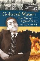 Colored Water: Dixie Through Egyptian Eyes 1