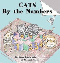 bokomslag CATS by the Numbers