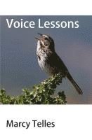 bokomslag Voice Lessons