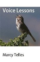 Voice Lessons 1