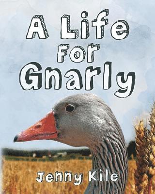 A Life For Gnarly 1
