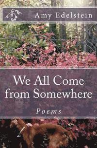 Amy Edelstein - We All Come from Somewhere, Häftad