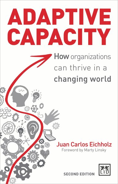 Juan Carlos Eichholz - Adaptive Capacity, Häftad