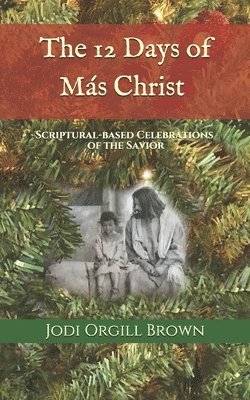 bokomslag The 12 Days of Mas Christ: Scriptural-based Celebrations of the Savior