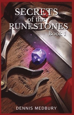 bokomslag Secrets of the Runestones