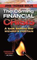 The Coming Financial Crisis: A Look Behind the Wizard's Curtain 1