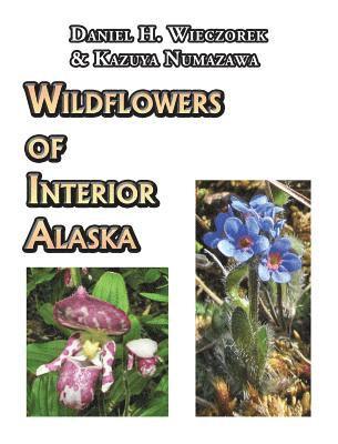 Wildflowers of Interior Alaska 1