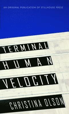 Terminal Human Velocity