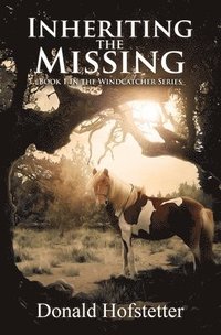 bokomslag Inheriting the Missing