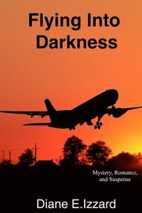 bokomslag Flying Into Darkness