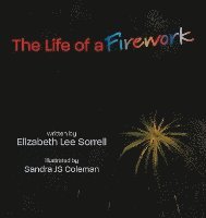 bokomslag The Life of a Firework