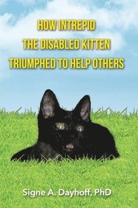 bokomslag How Intrepid the Disabled Kitten Triumphed to Help Others