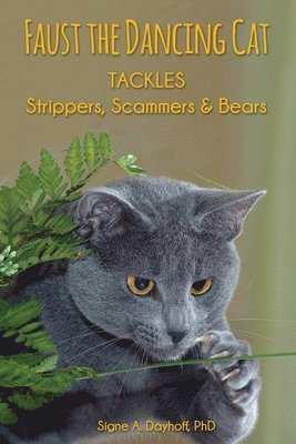 Faust the Dancing Cat Tackles Strippers, Scammers & Bears 1