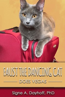 Faust the Dancing Cat Does Vegas 1